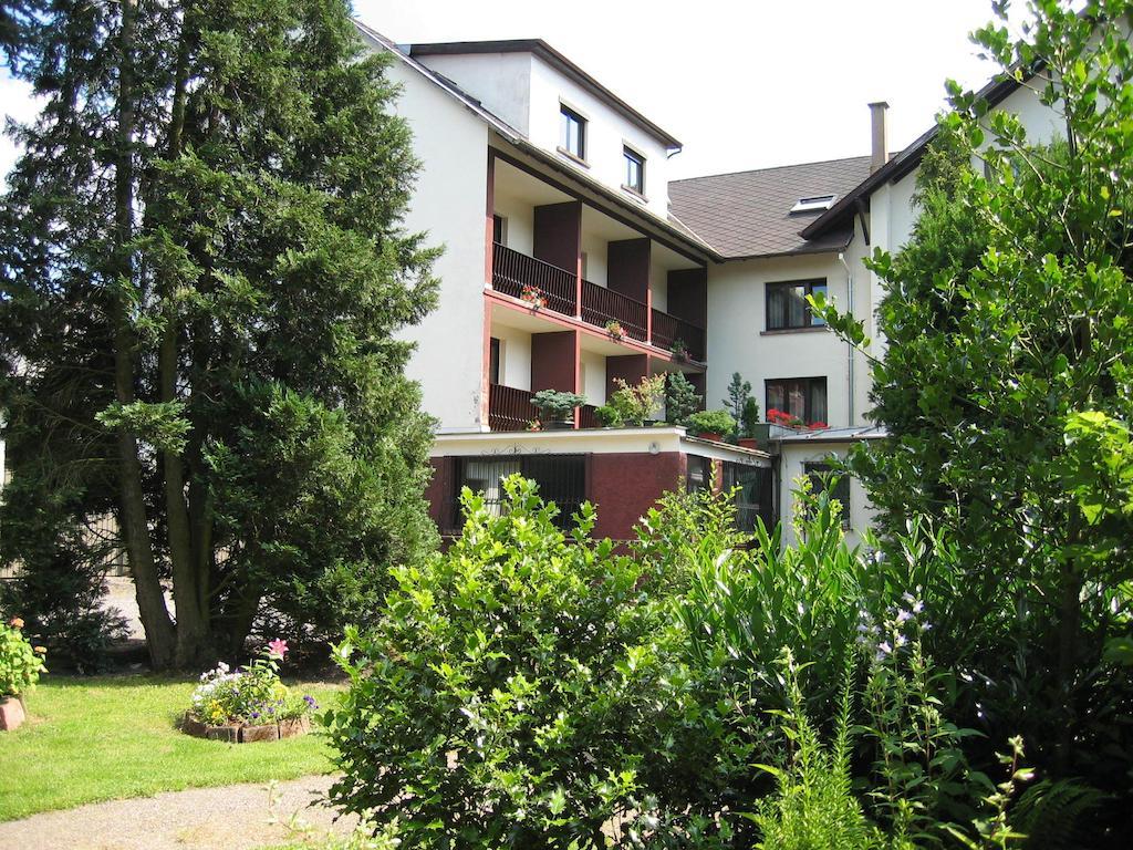 Logis Hostellerie Belle-Vue Wangenbourg-Engenthal Buitenkant foto